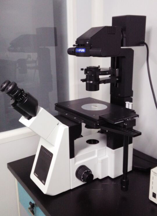 OLYMPUS研究级倒置显微镜IX53.jpg
